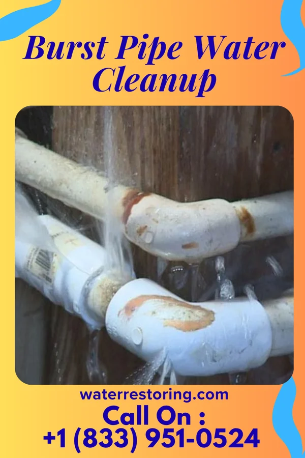 Burst Pipe Water Cleanup in Pratt, WV