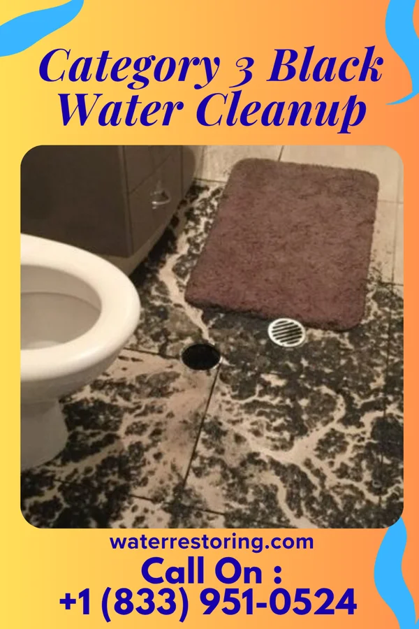 Category 3 Black Water Cleanup in Pratt, WV