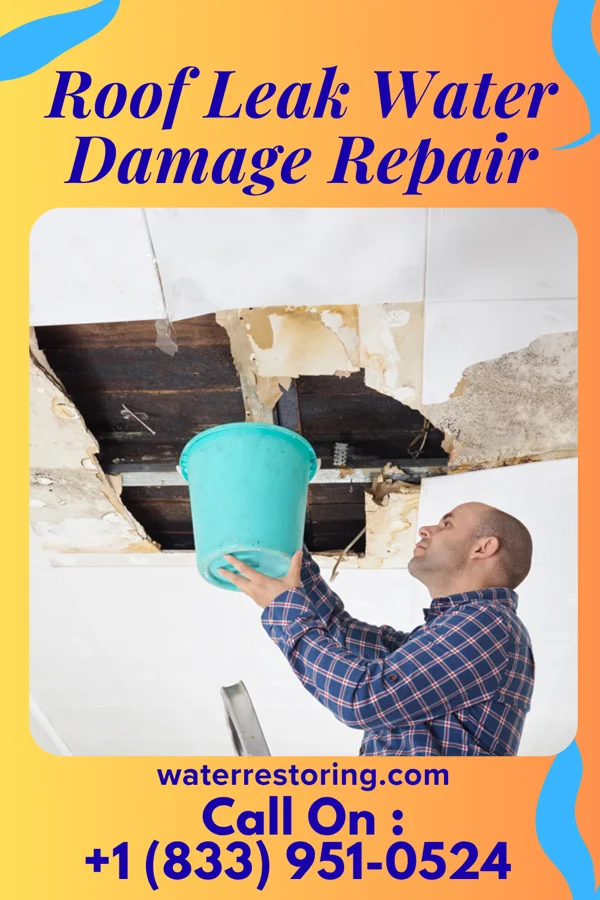 Roof Leak Water Damage Repair in Pratt, WV