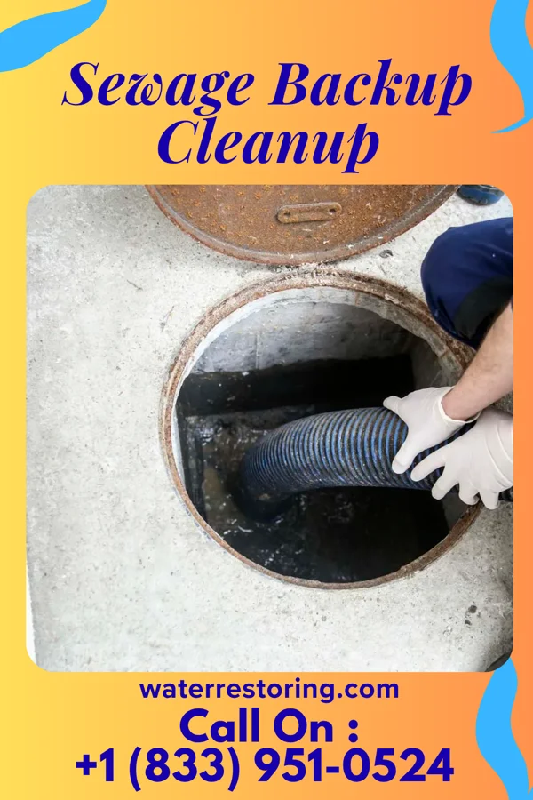 Sewage Backup Cleanup in Pratt, WV