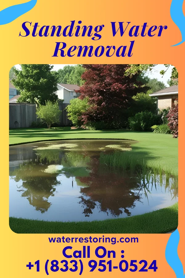 Standing Water Removal in Pratt, WV